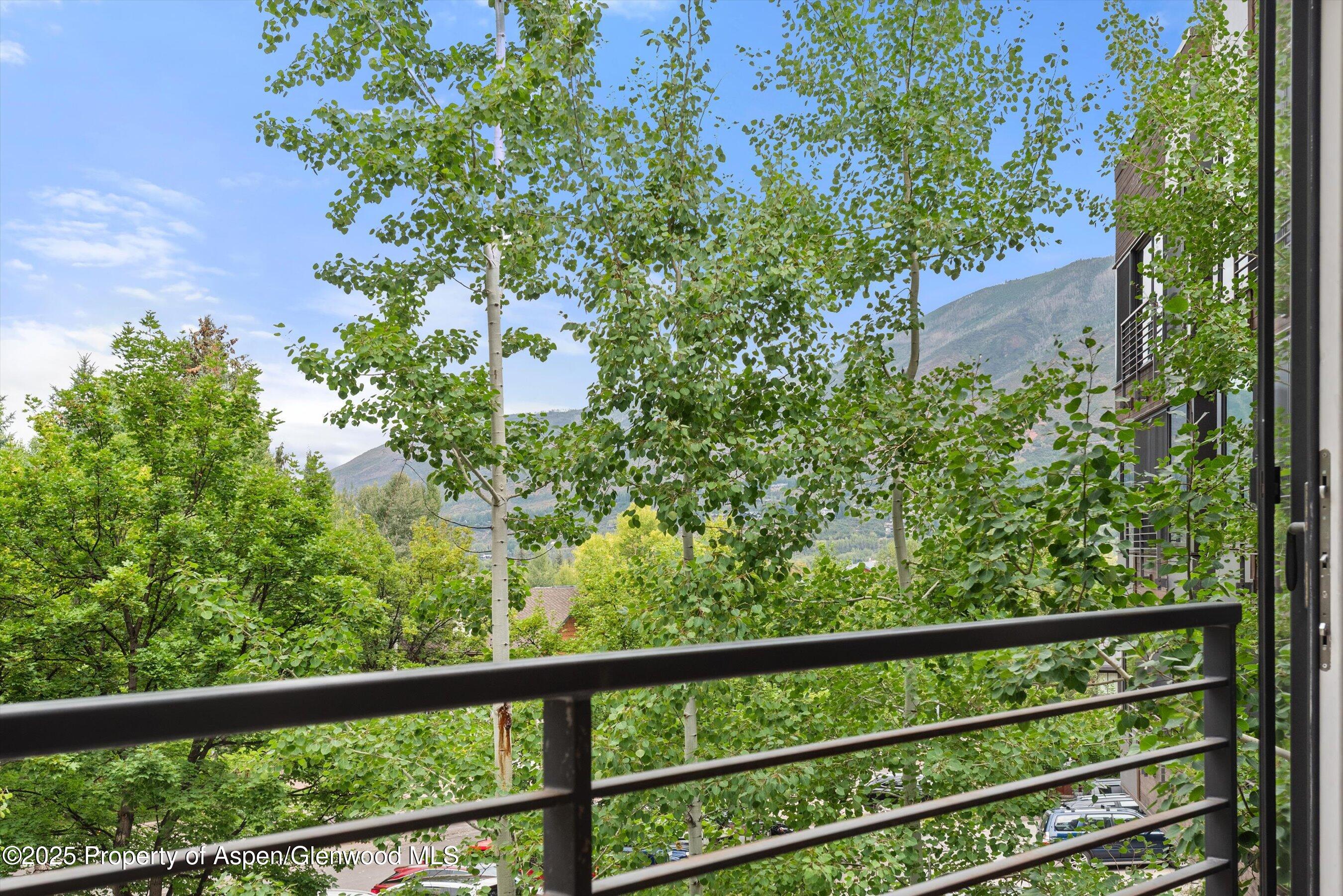 738 S Galena Street 1-C