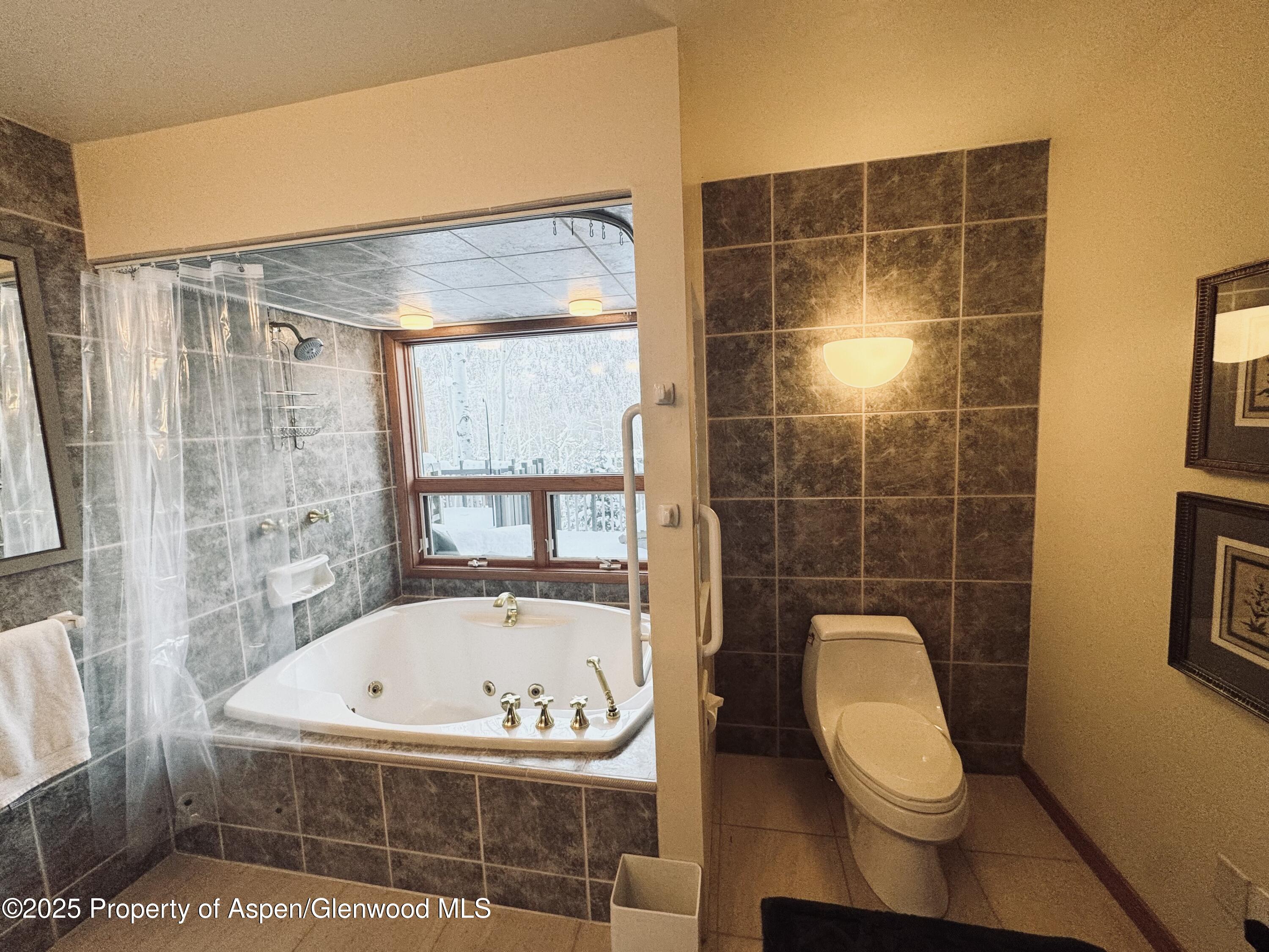 302 Roaring Fork Drive