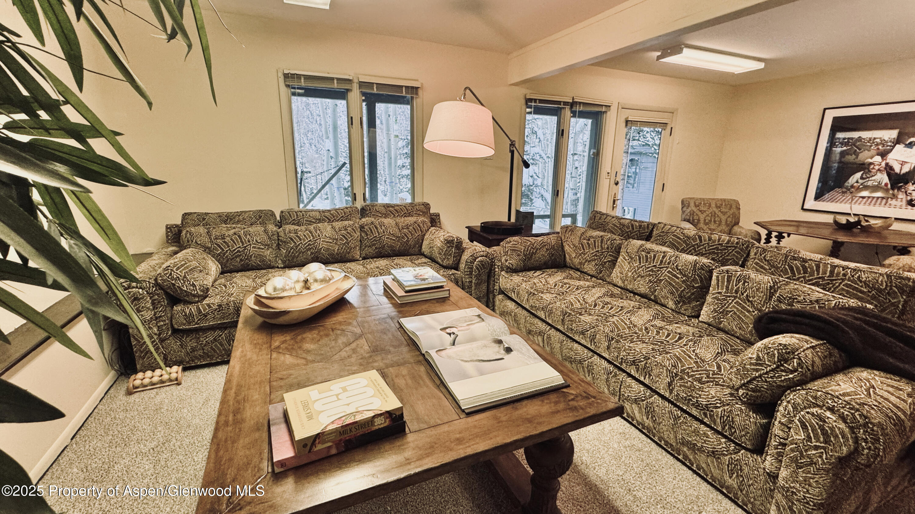 302 Roaring Fork Drive