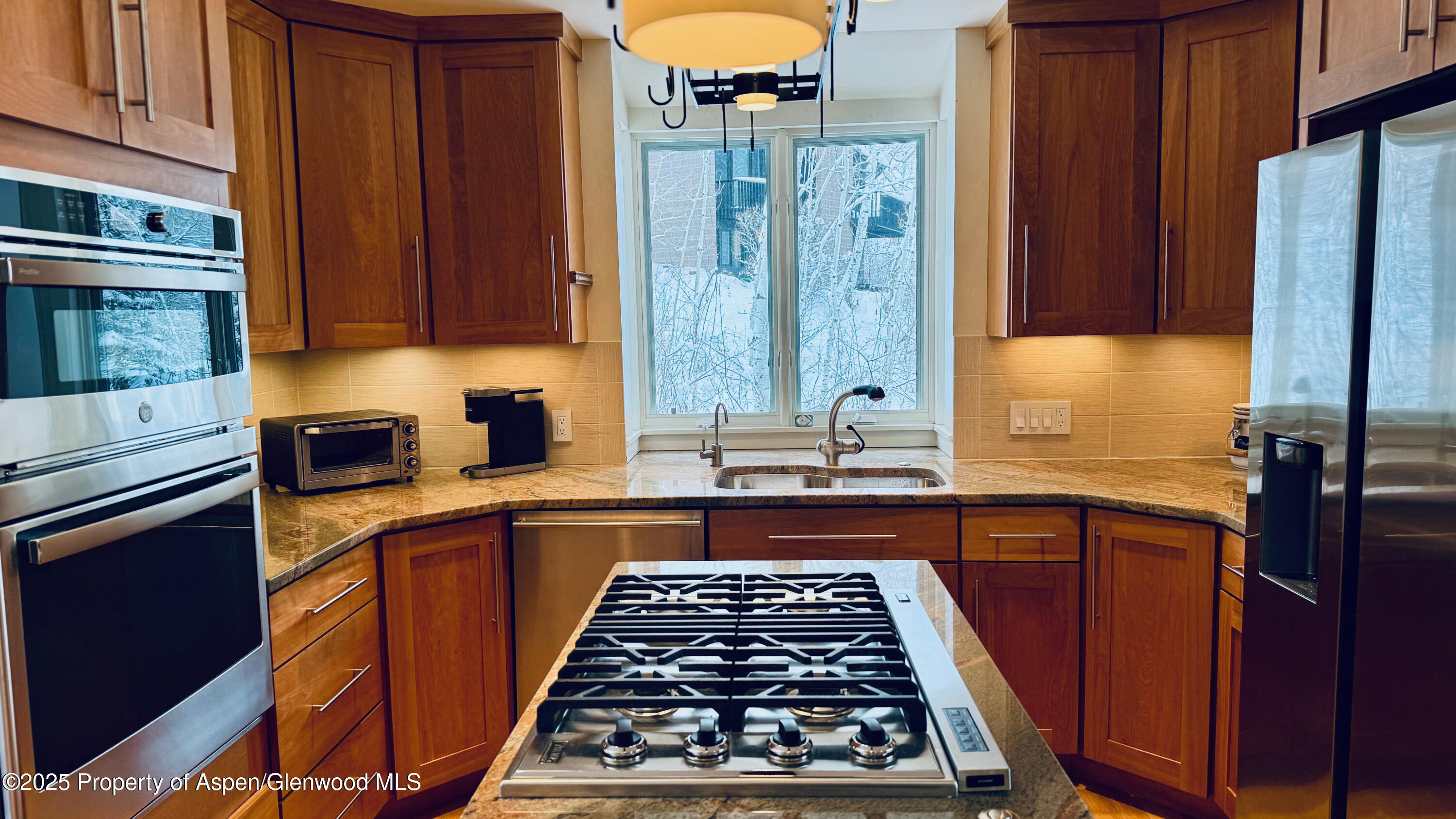 302 Roaring Fork Drive