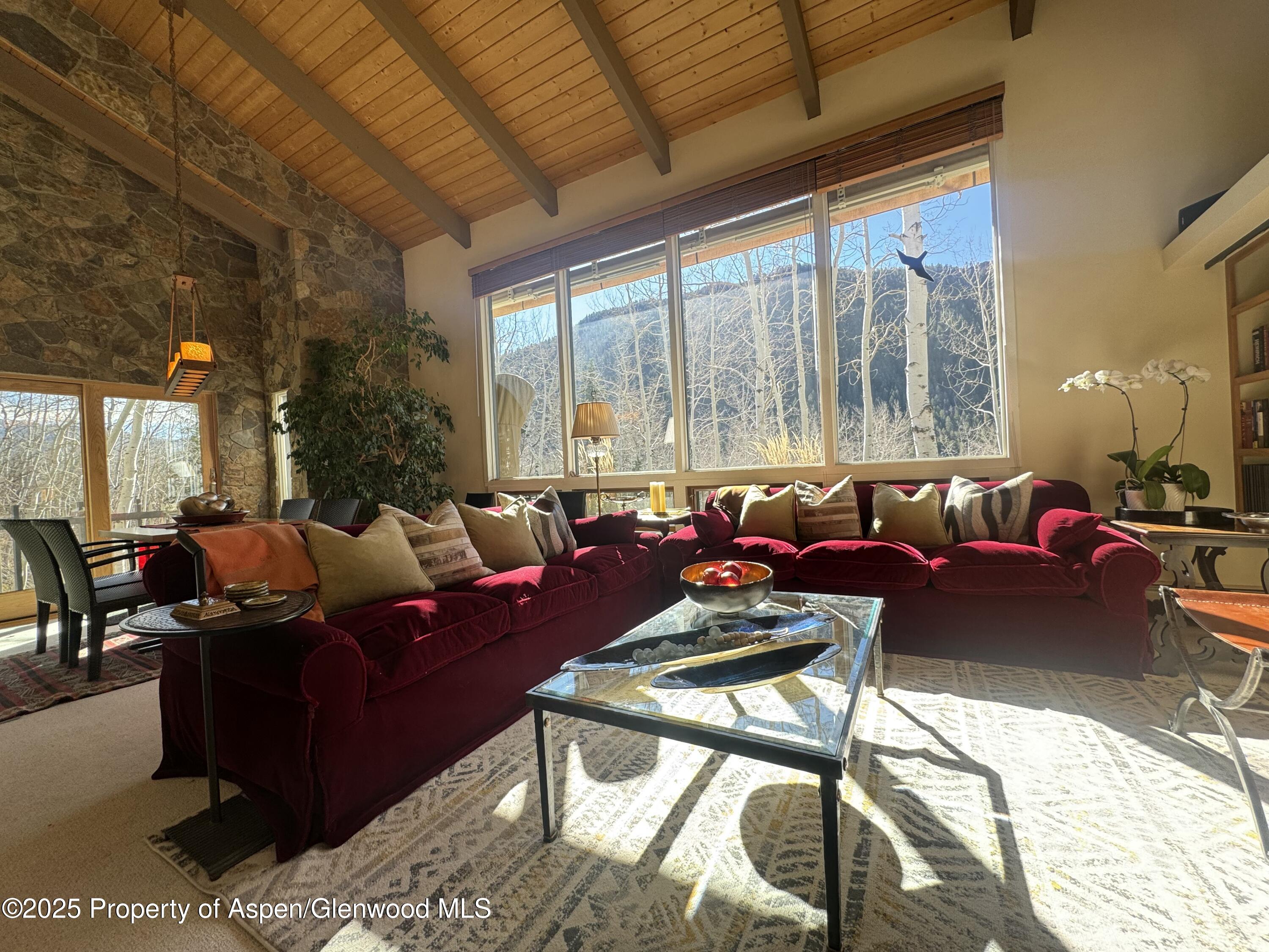 302 Roaring Fork Drive