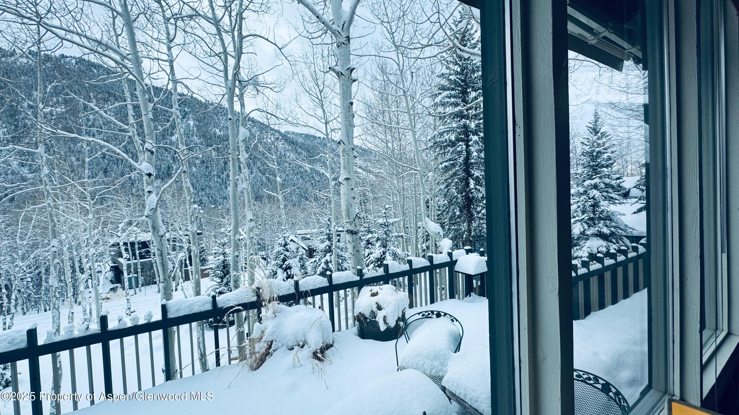 302 Roaring Fork Drive