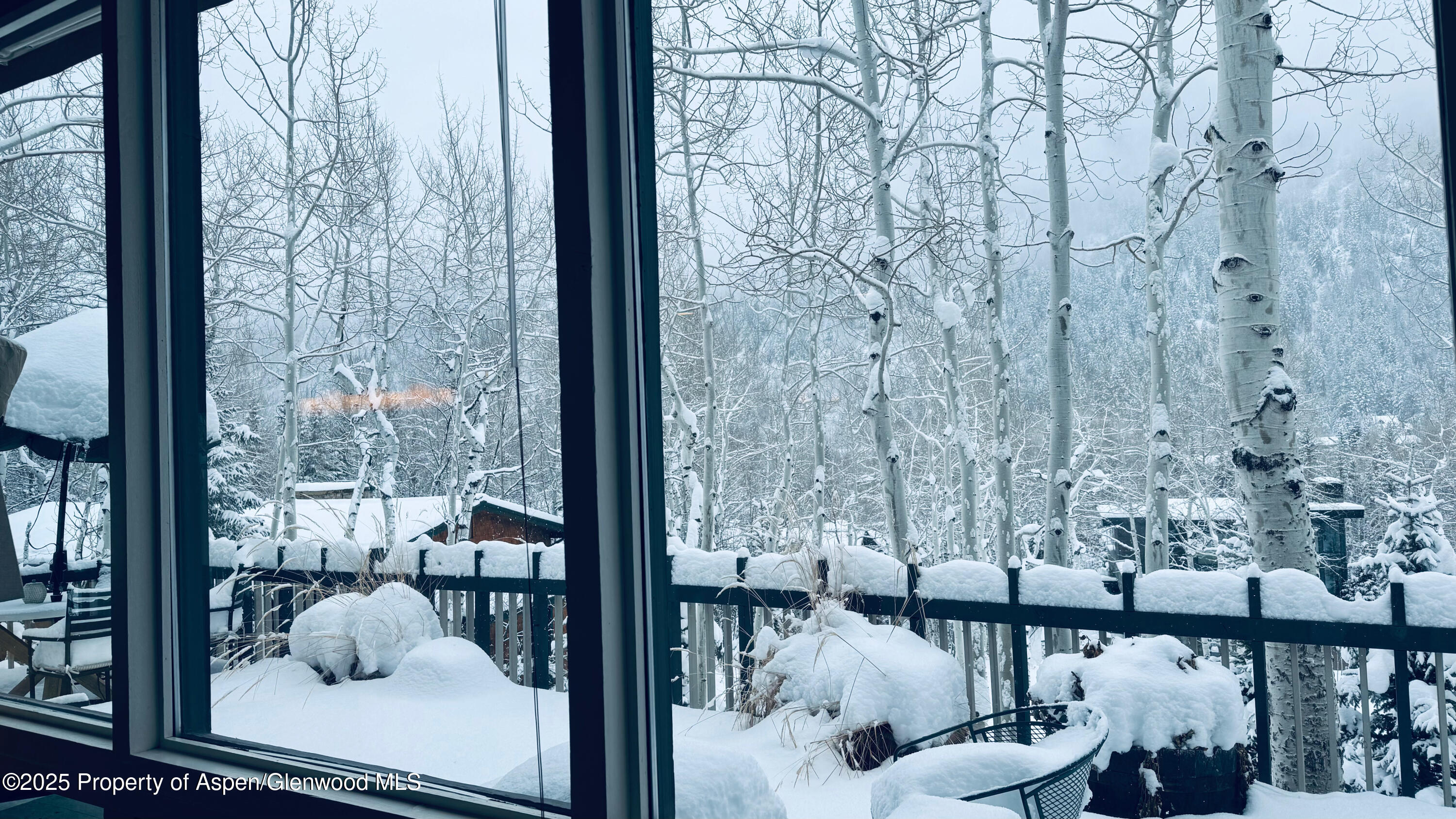 302 Roaring Fork Drive