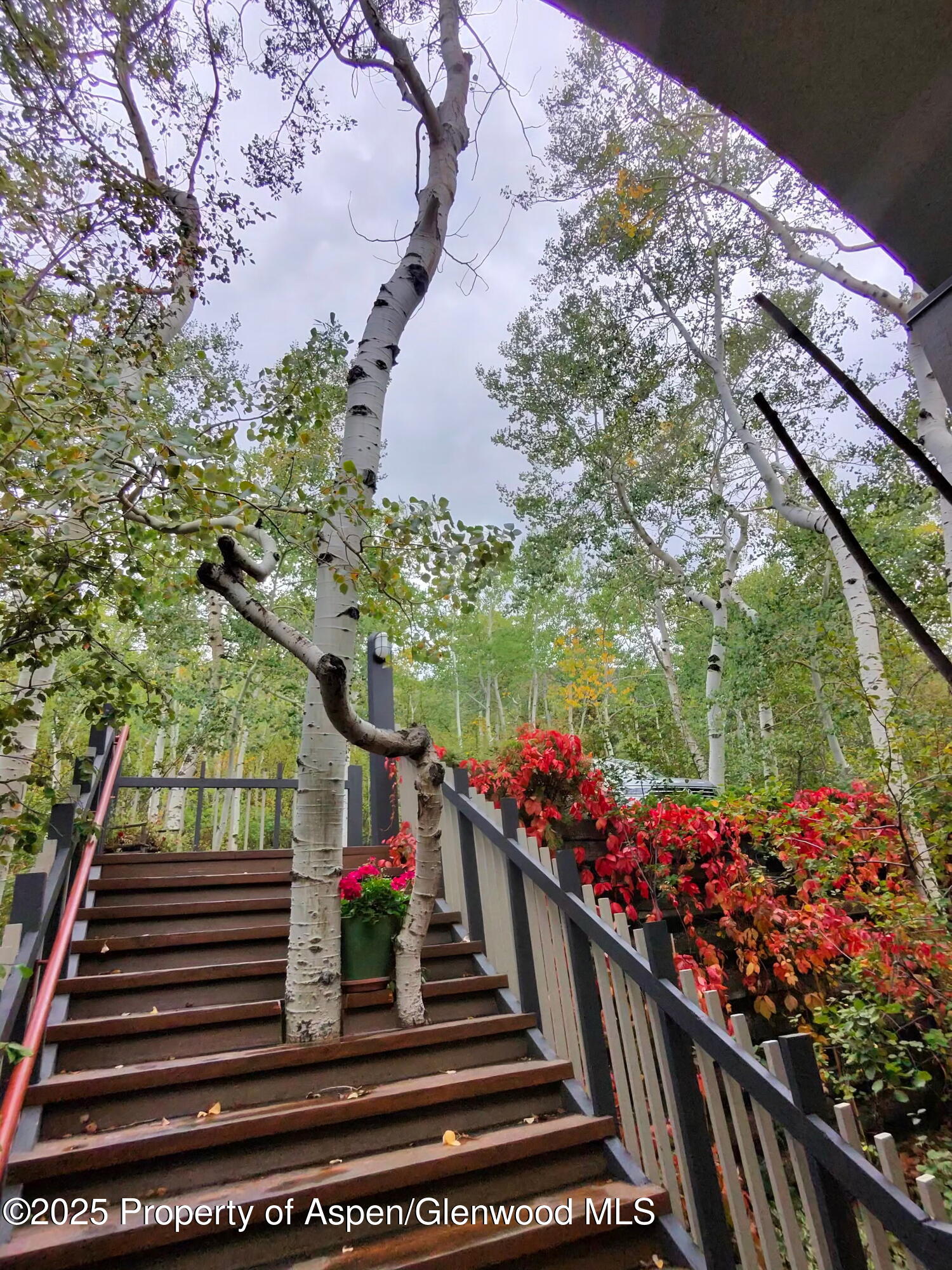 302 Roaring Fork Drive