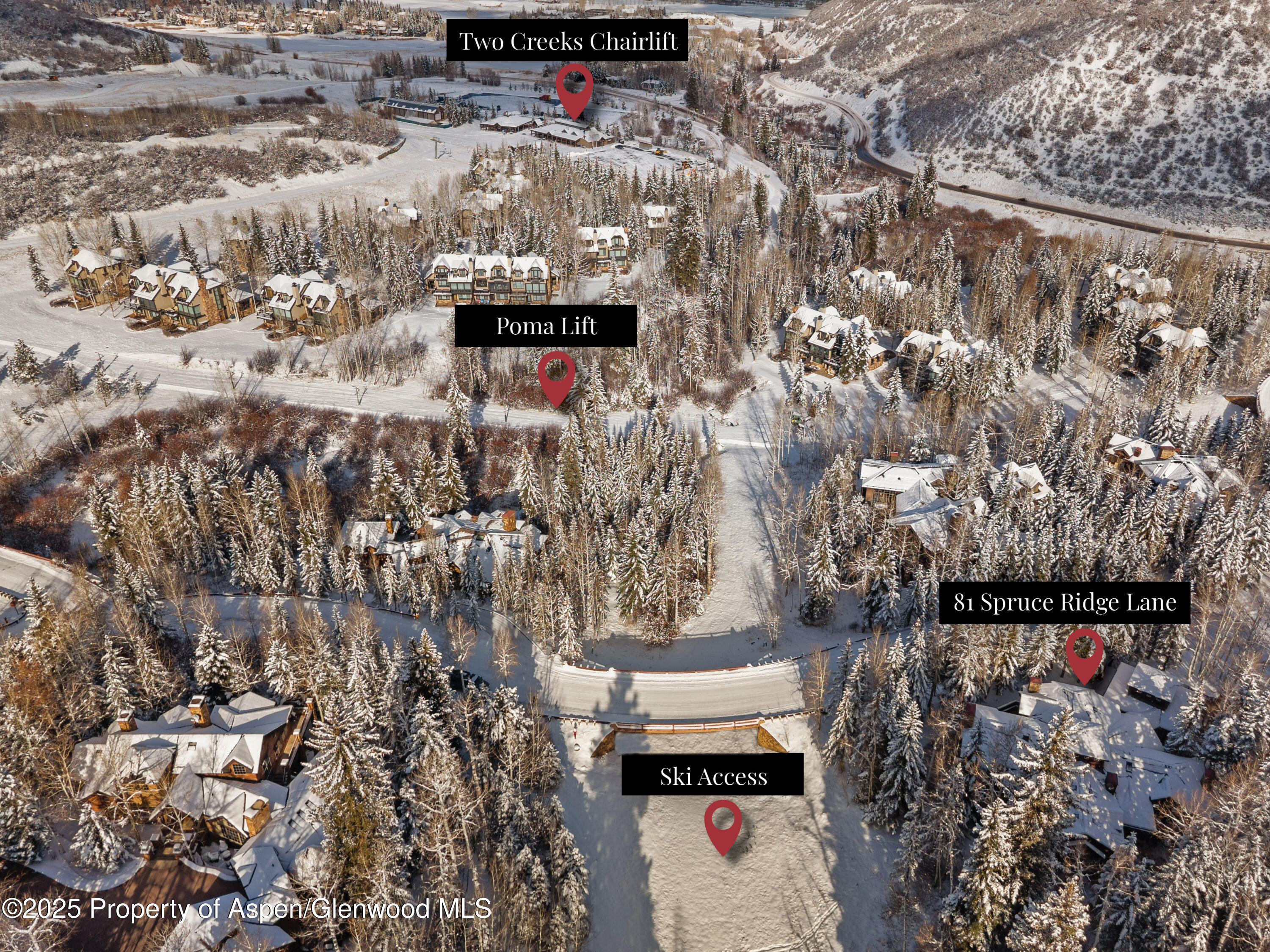 81 Spruce Ridge Lane