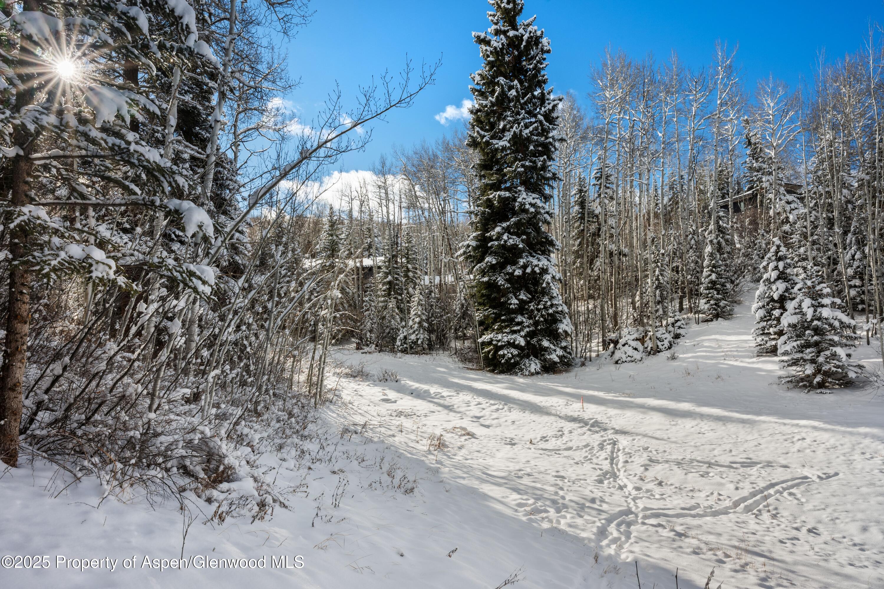 81 Spruce Ridge Lane