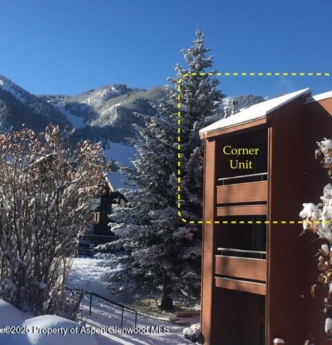 1136 Vine Street 1136