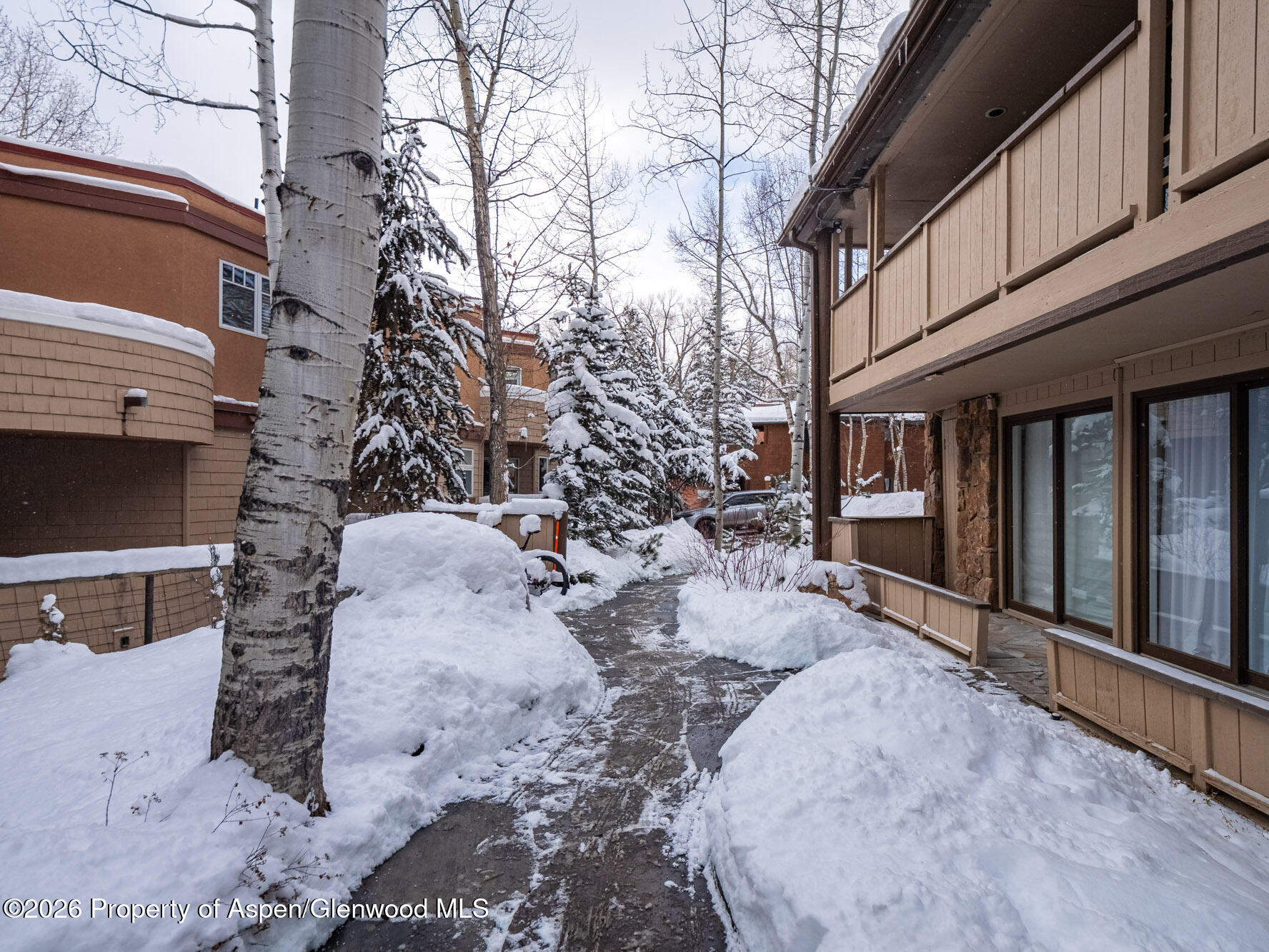 107 Aspen Mountain Road Unit: 3