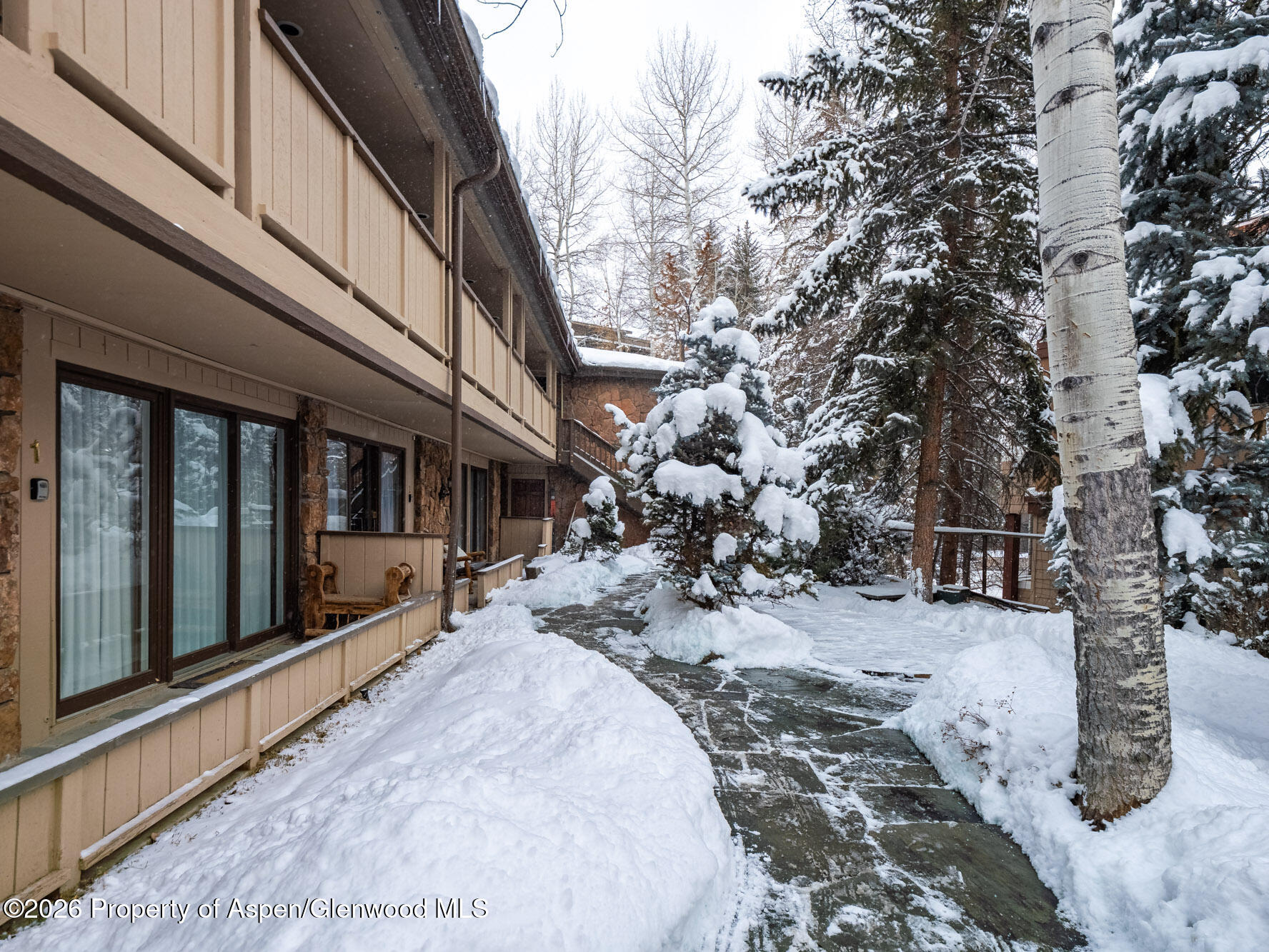 107 Aspen Mountain Road Unit: 3