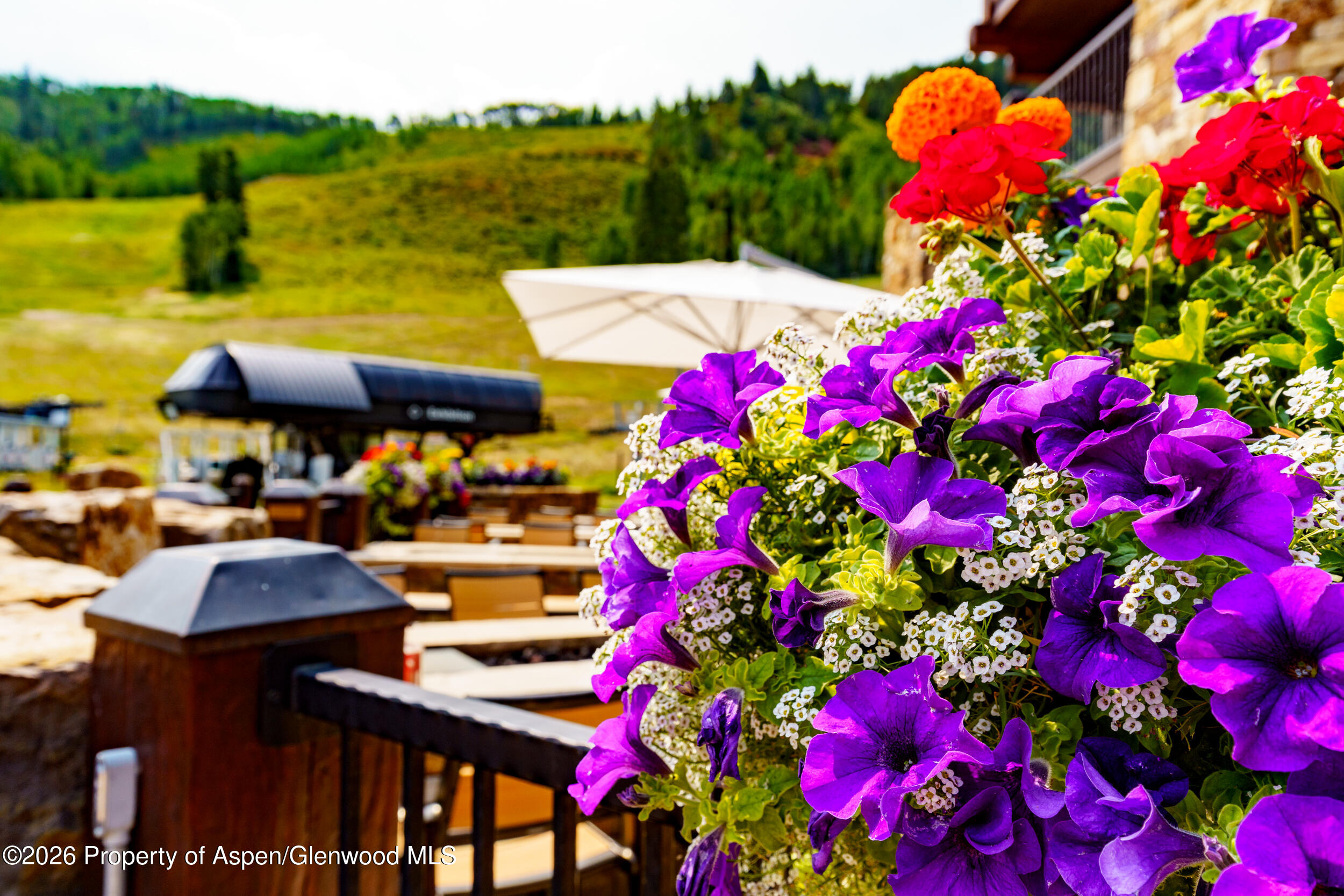 0075 Prospector Road Unit 8204 Summer Interest 11