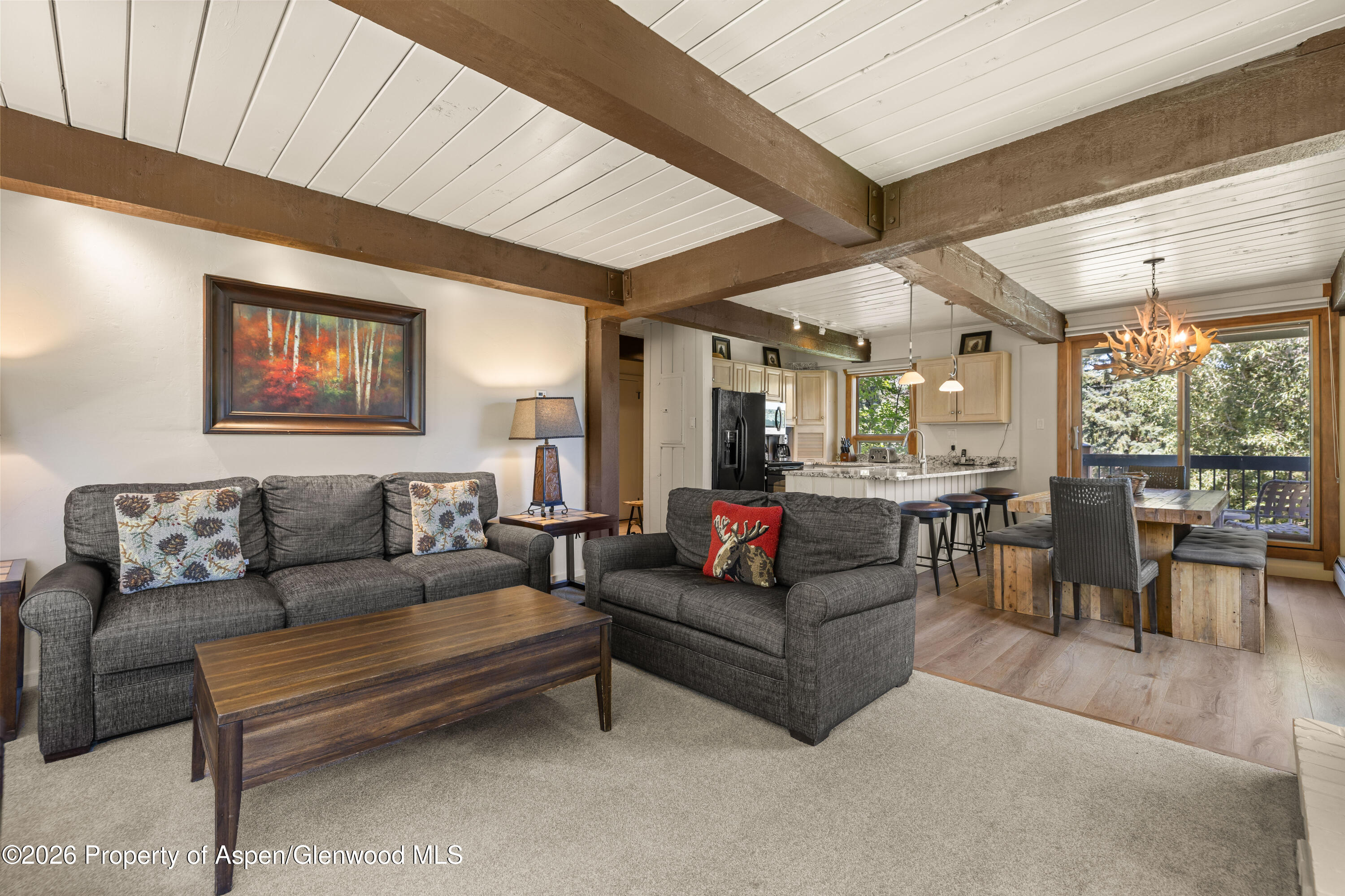 855 Carriage Way Slope 201