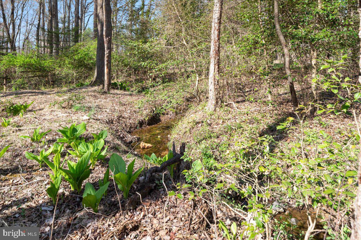 532 WALKER RD