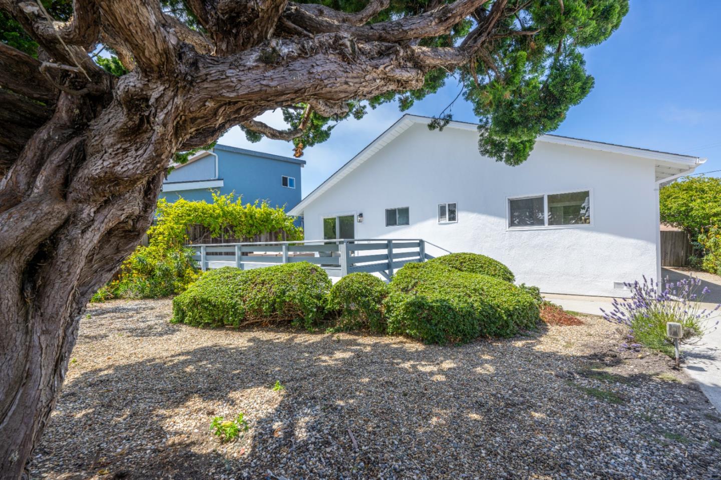 424 Granelli AVE
