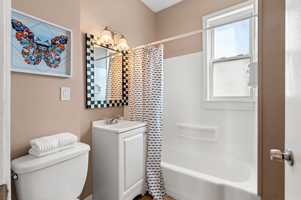 258 Shirley Street # 3