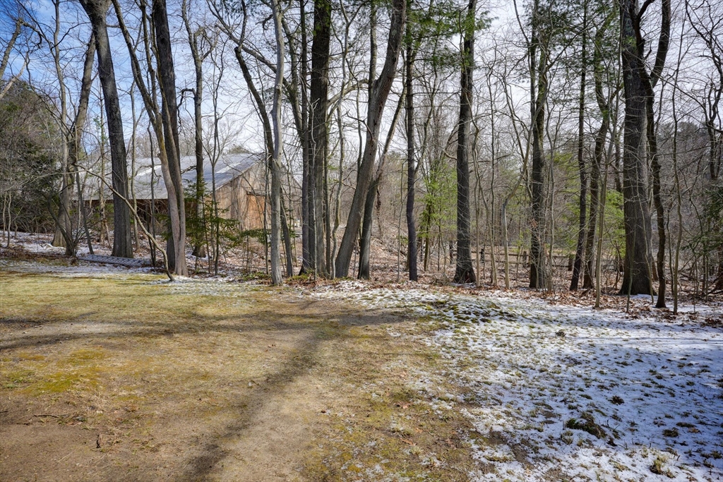 19 Delwood Rd