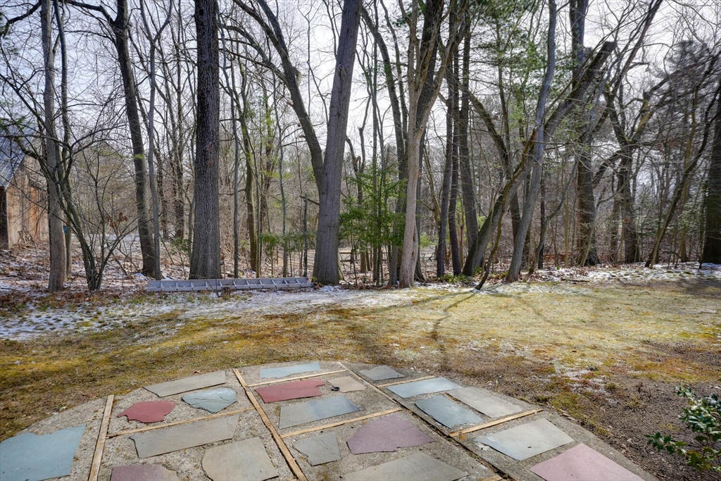 19 Delwood Rd