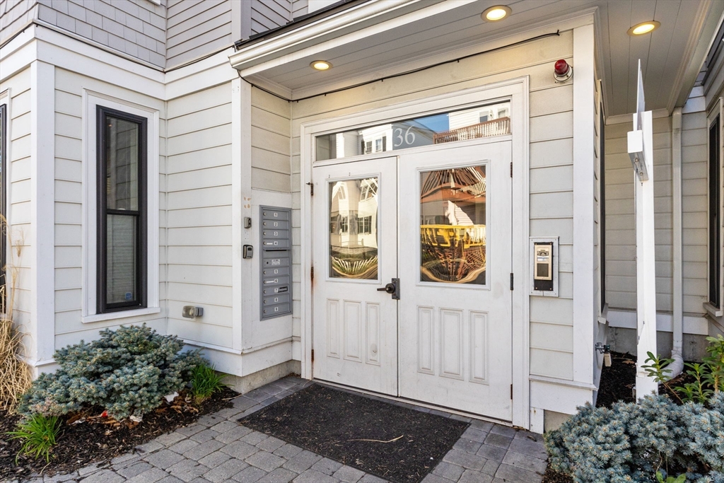 136 Sydney Street # 4