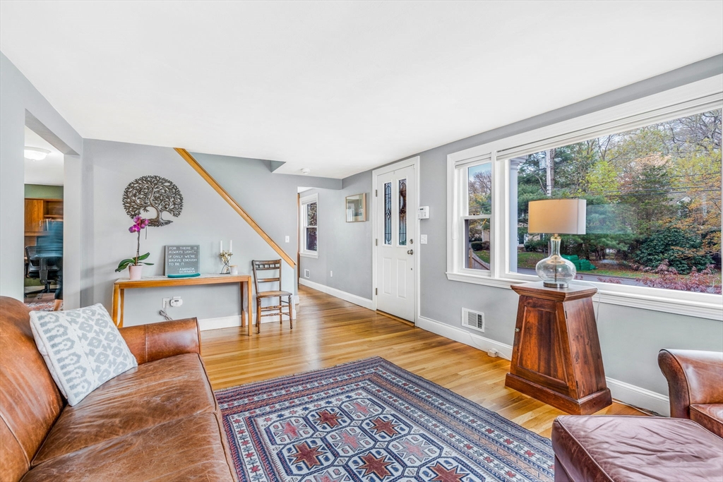 13 Fern St