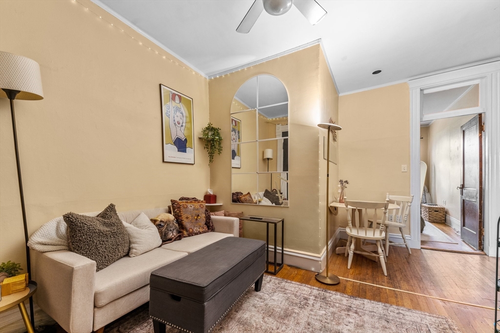 282 Newbury Street # 20