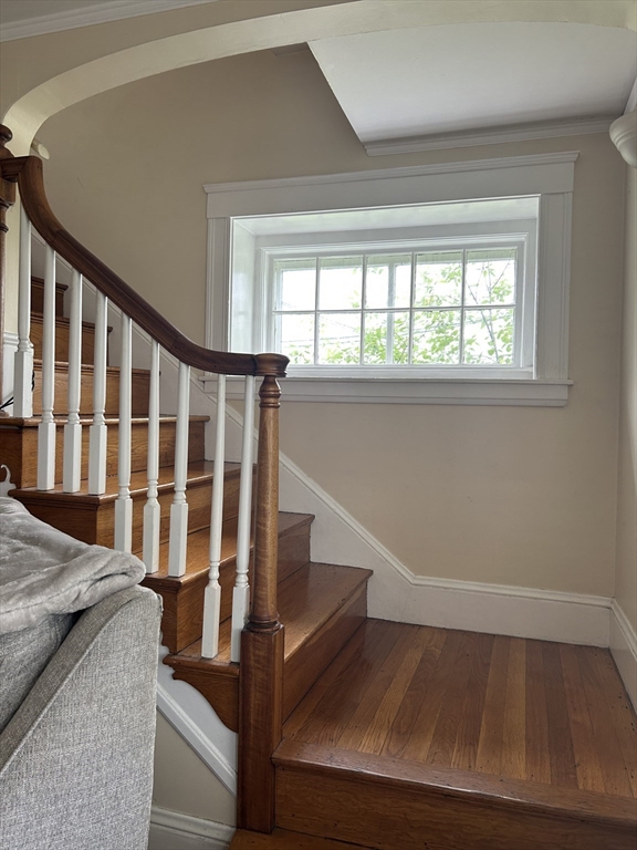 227 Elm St