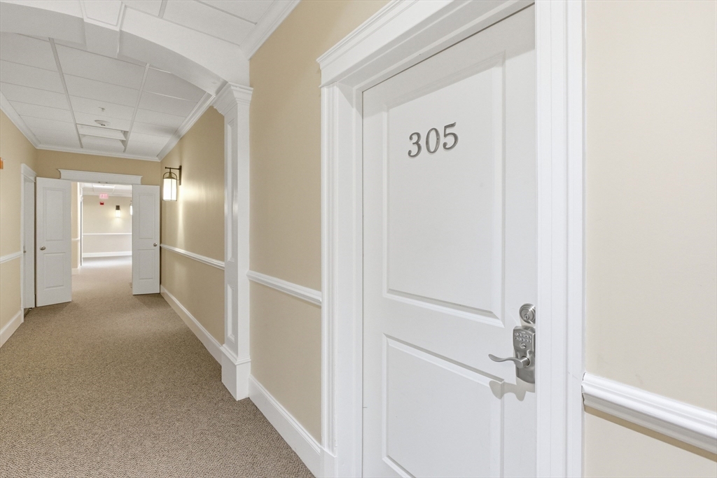 491 Dutton Street # 305