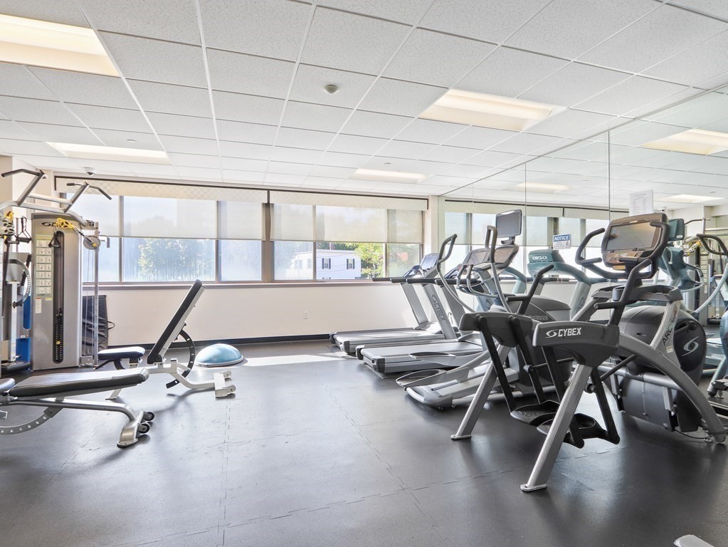 169 Monsignor O'brien Highway # 705