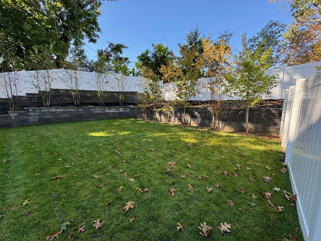 167 Winchester Street # D