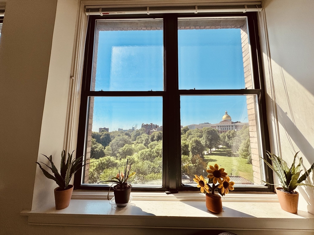 131 Tremont Street # 6B