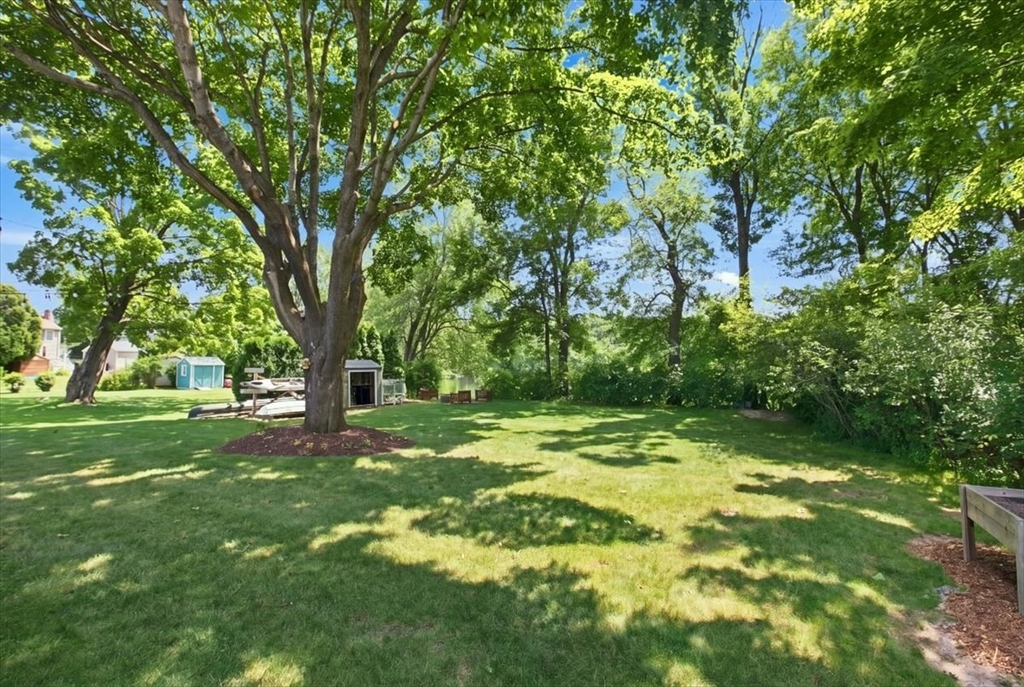 113 Pincushion Rd