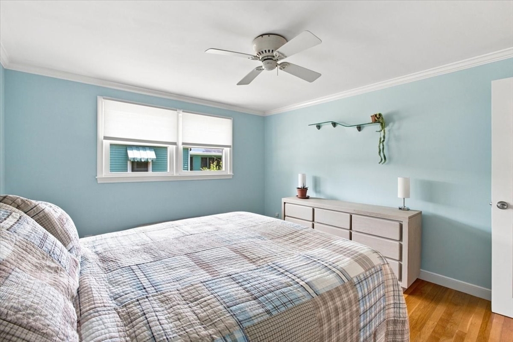 113 Pincushion Rd