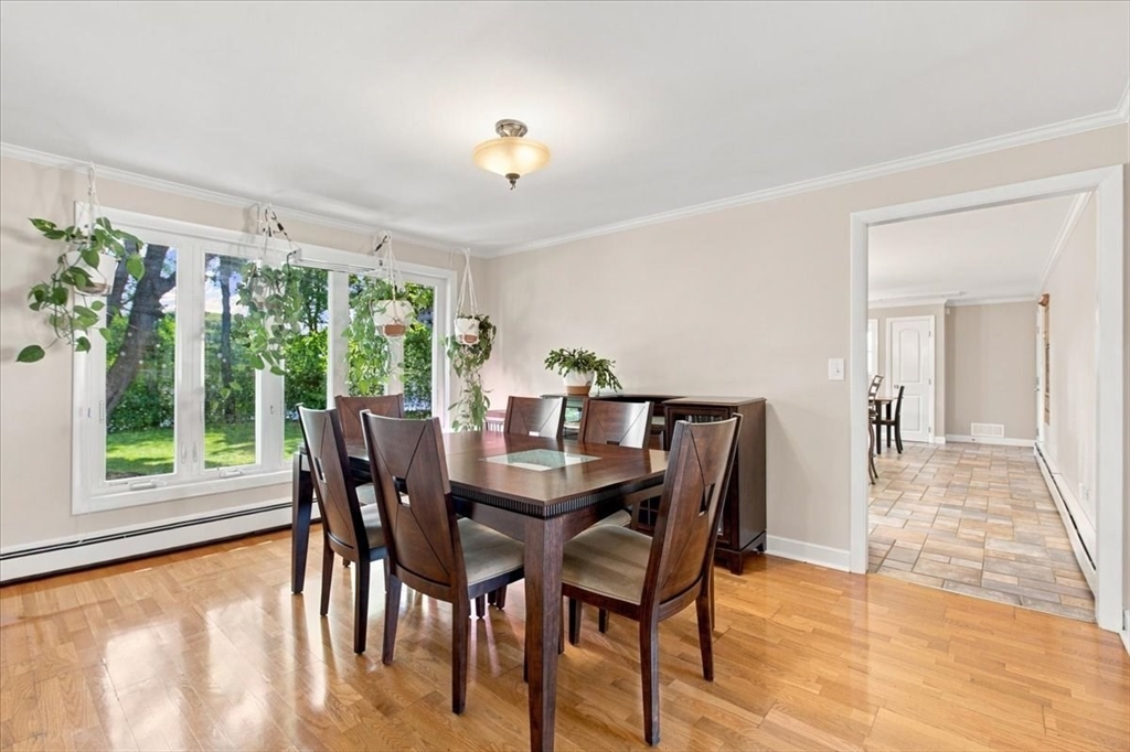 113 Pincushion Rd