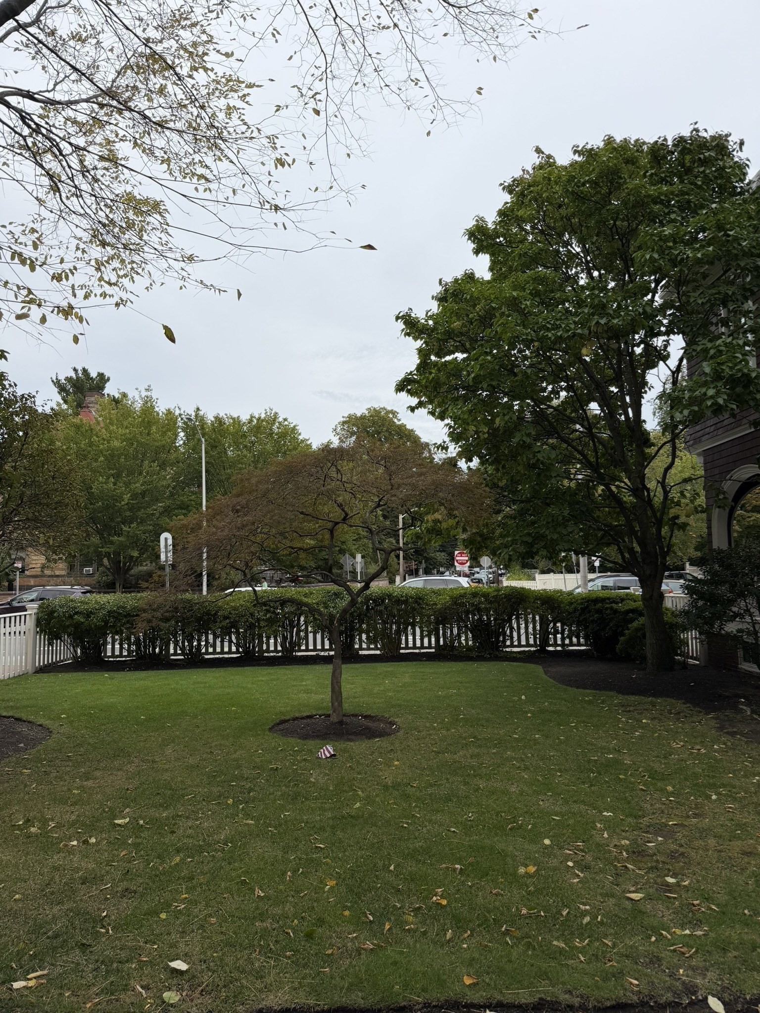 24 Garden Street # 2