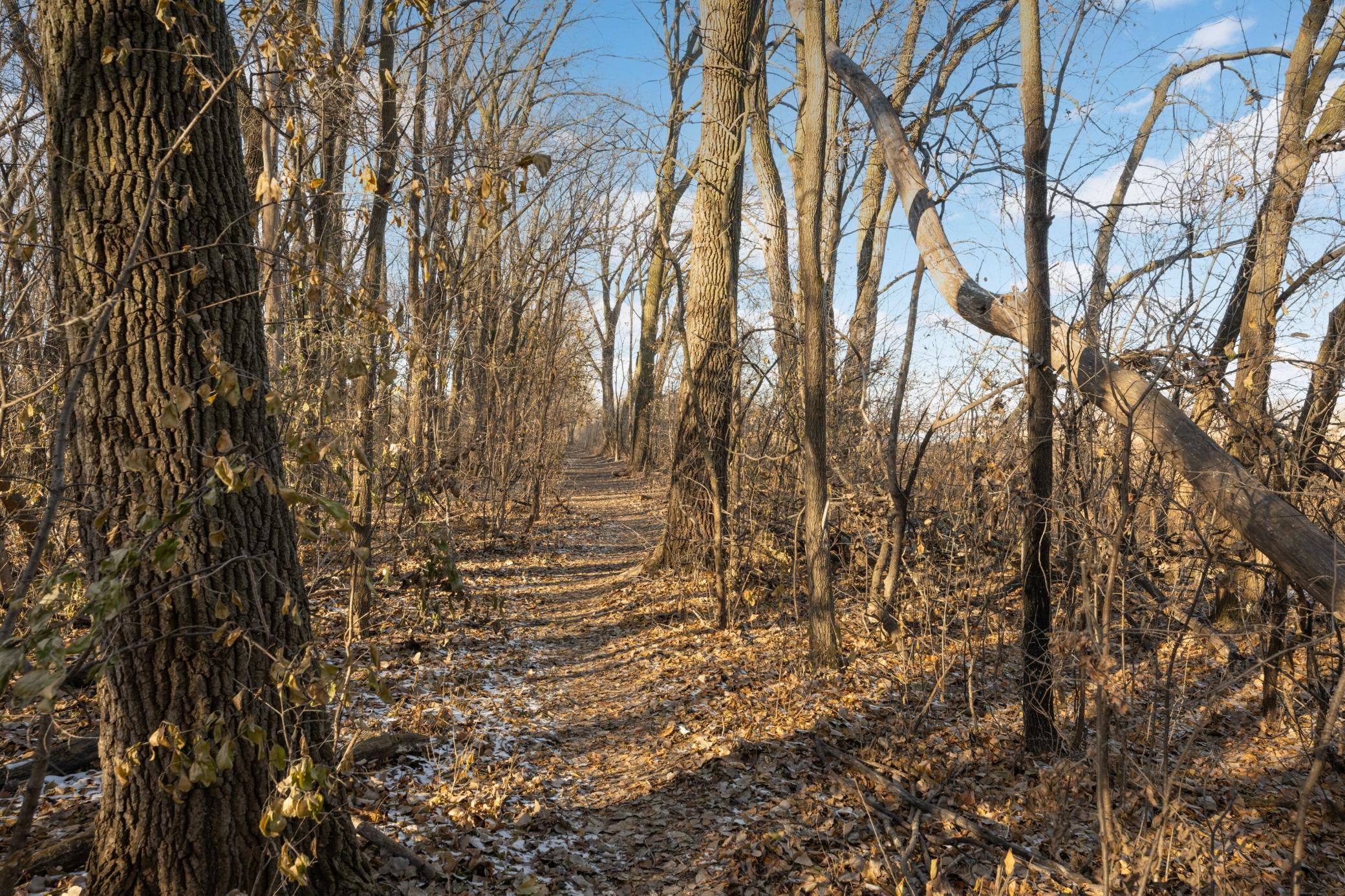 4901 Hawthorne Court #202