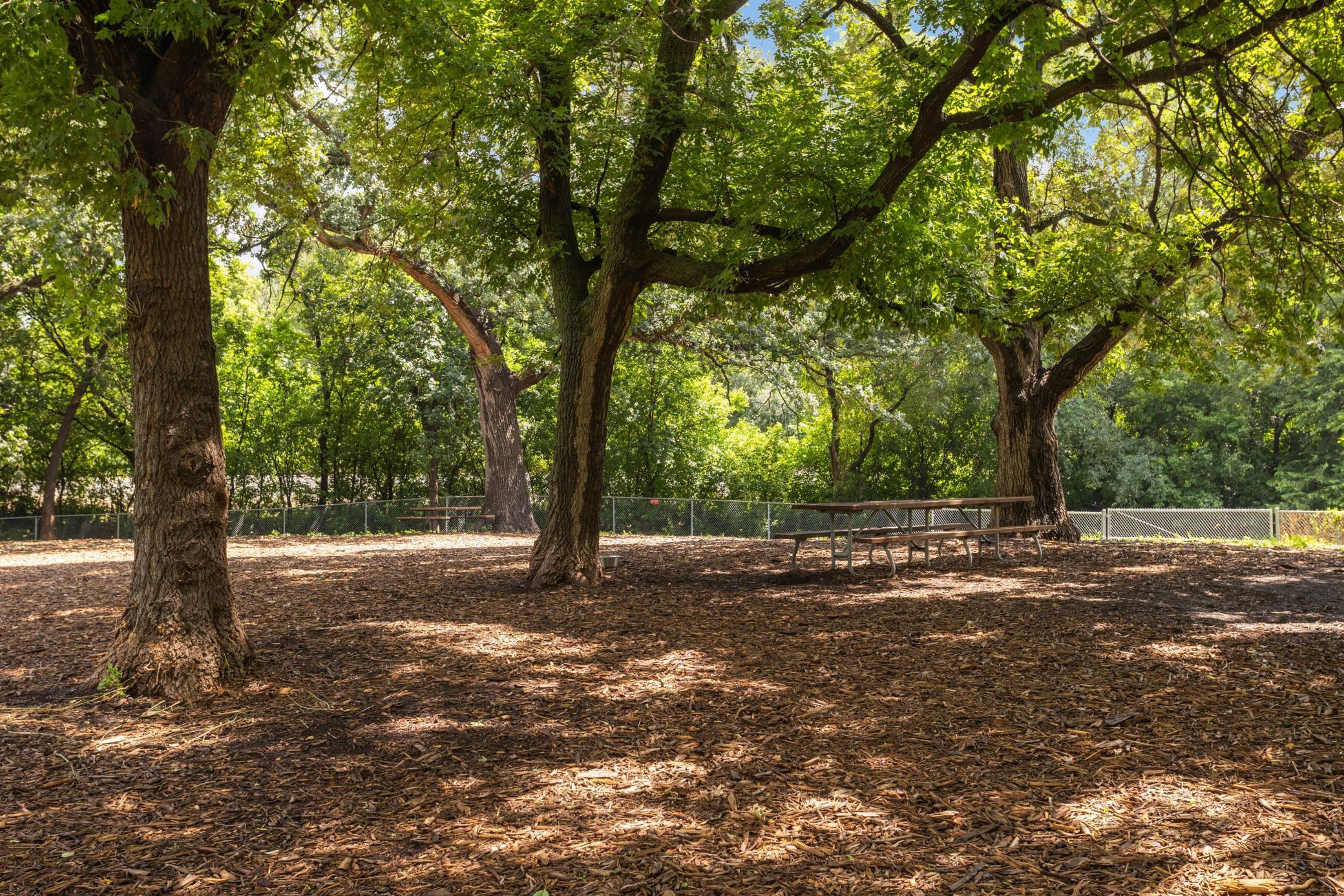 2837 Louisiana Avenue S