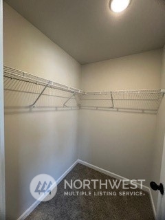12037 126th Avenue Ct E #Lot 18
