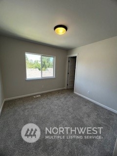 12037 126th Avenue Ct E #Lot 18