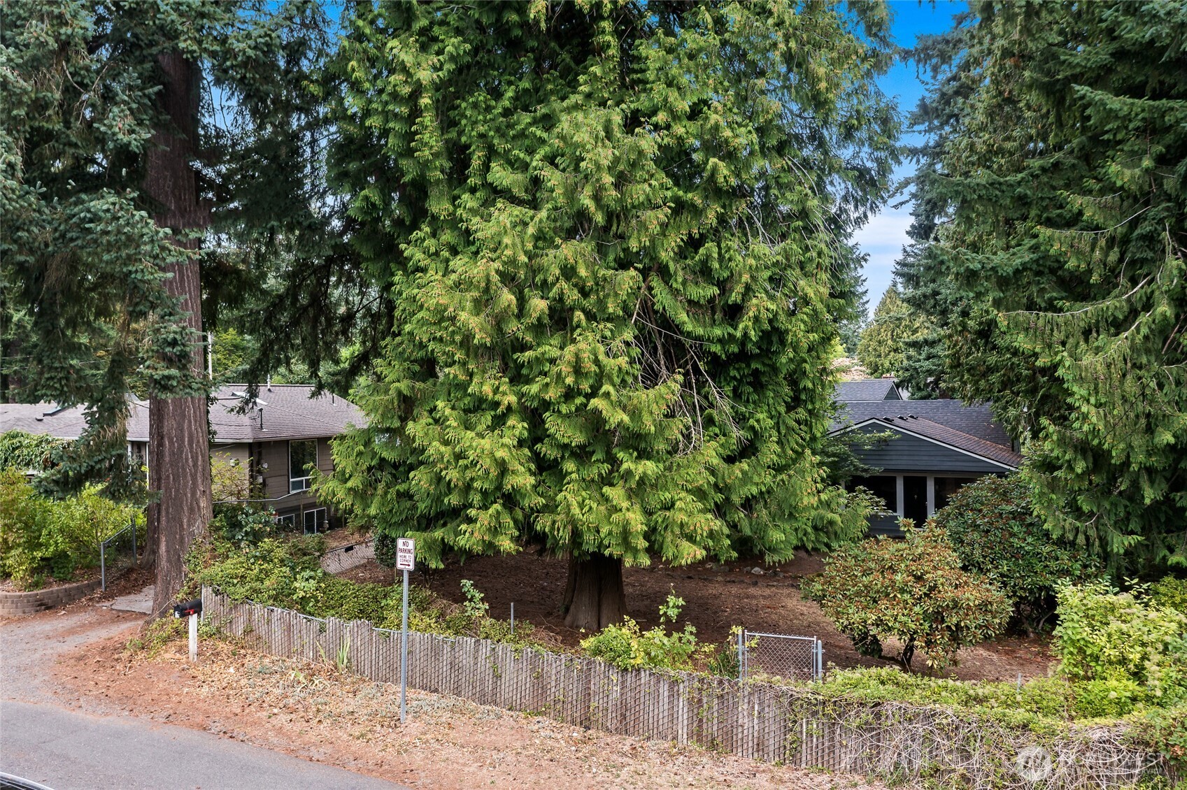532 Eskridge Way SE