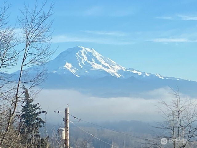 12124 50th Street Ct E