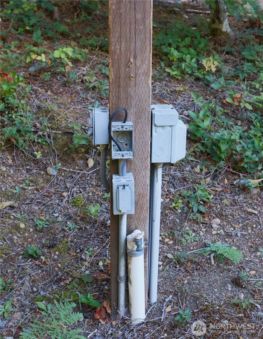 2420 W Star Lake Drive