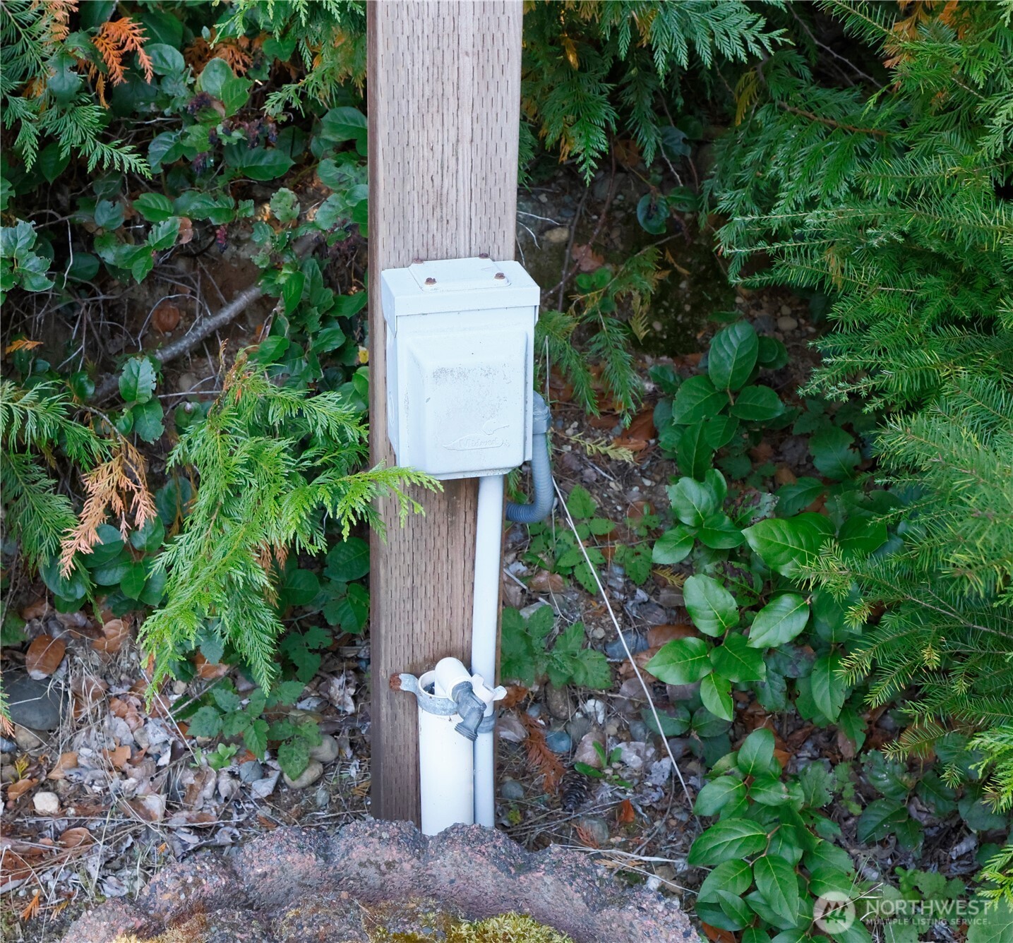 2420 W Star Lake Drive