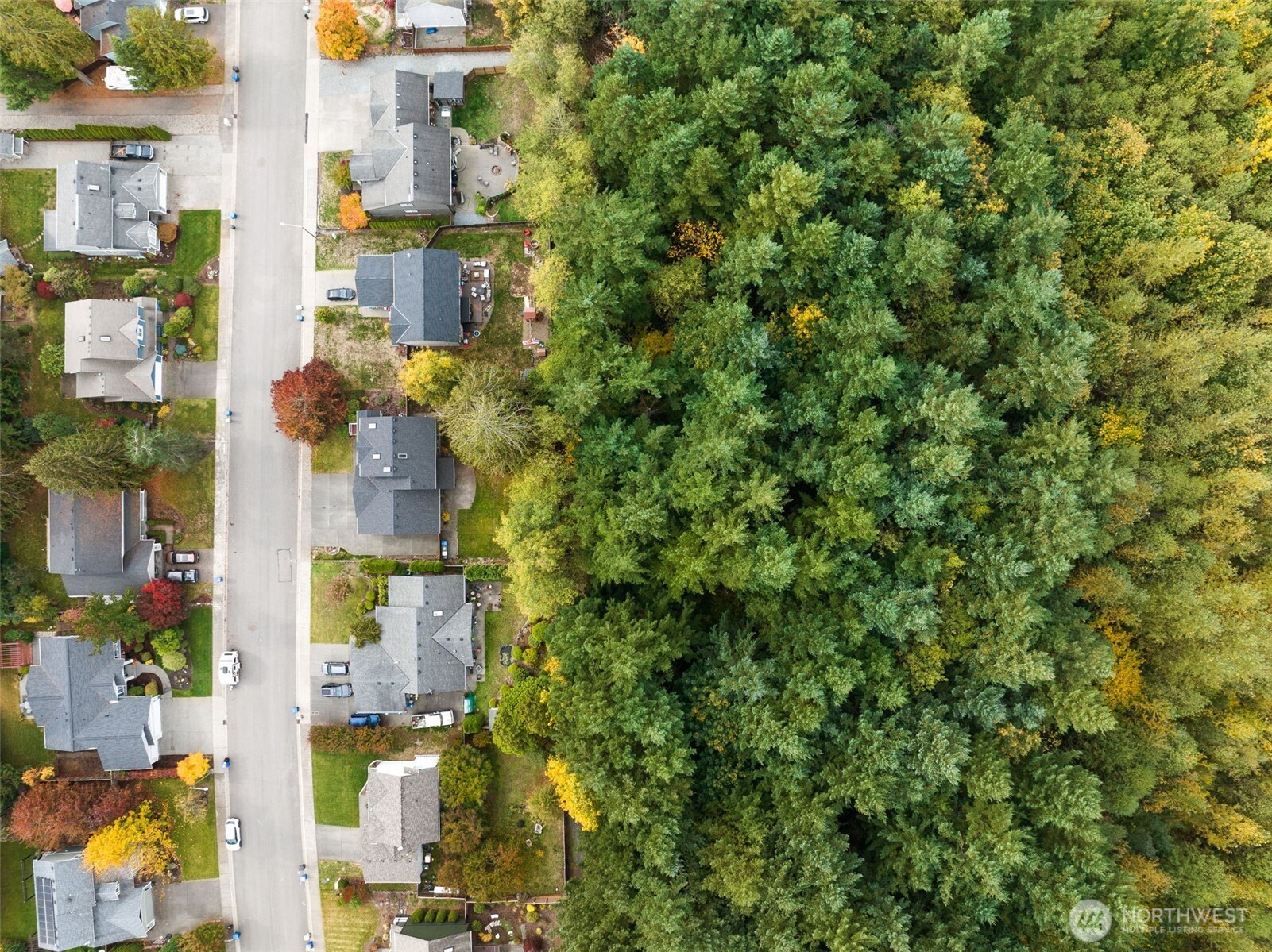 25608 Cumberland Way