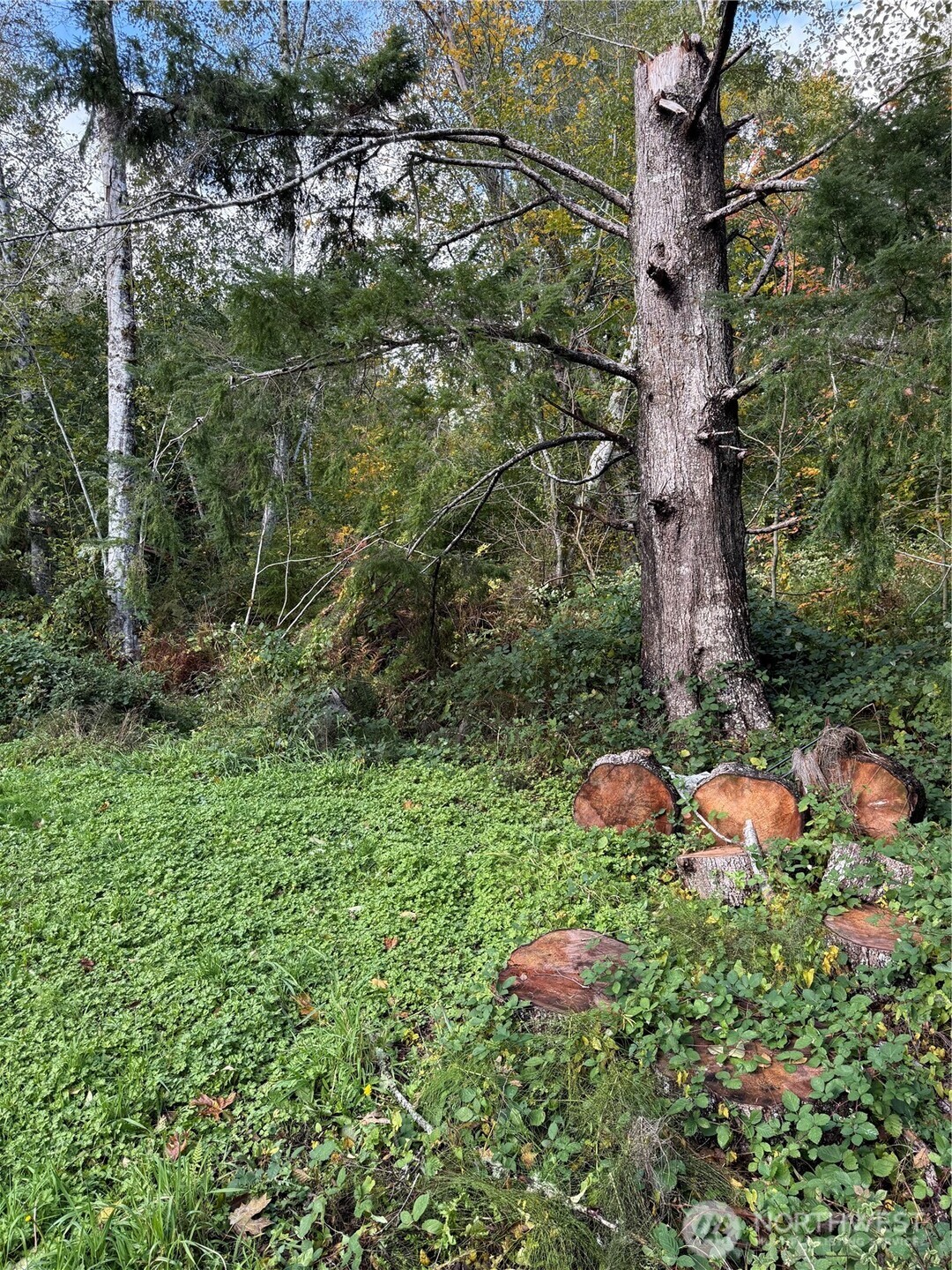 7620 SW Sprucecrest Street