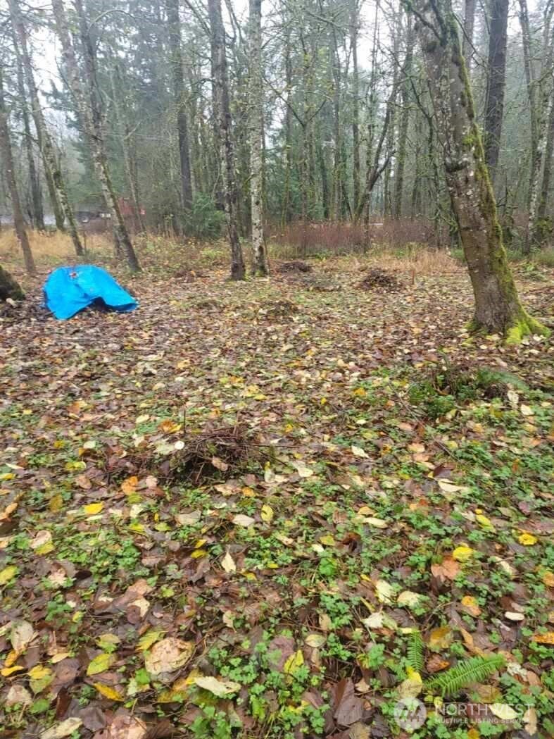 35750 Military Road S