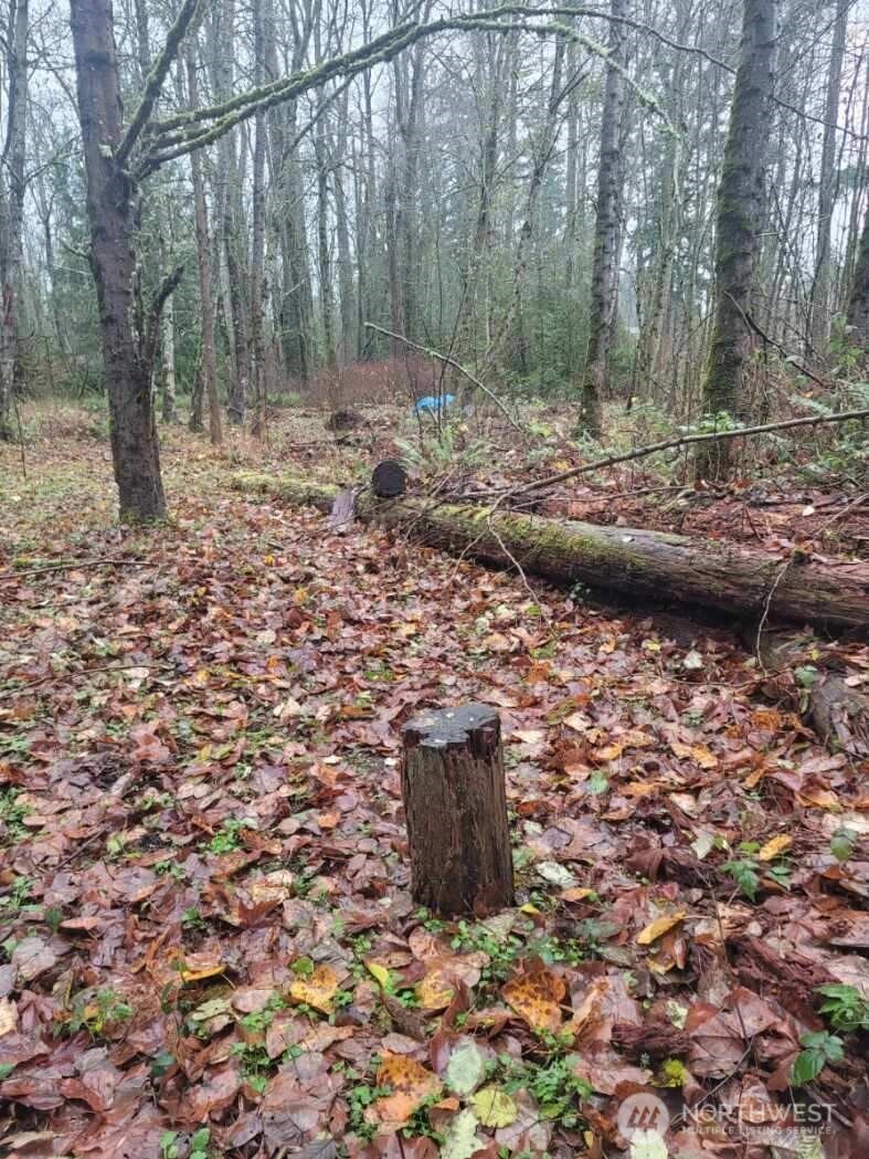 35750 Military Road S