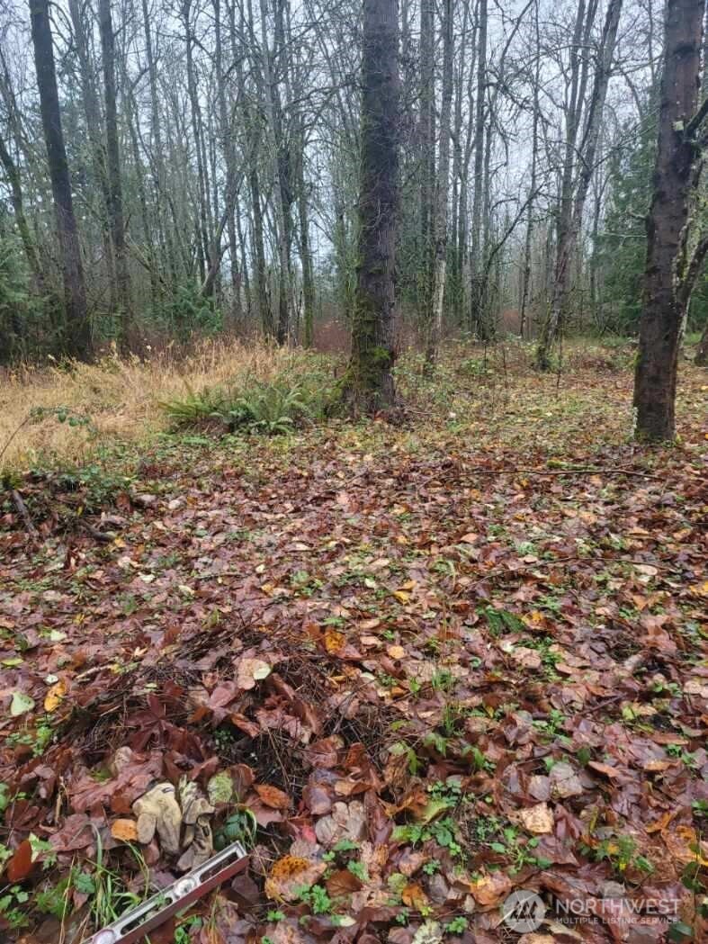 35750 Military Road S