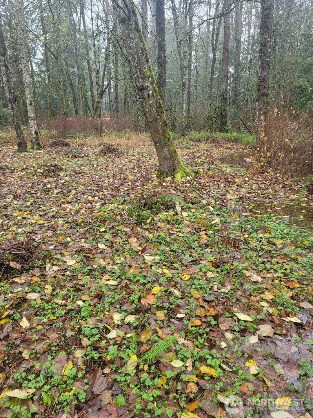 35750 Military Road S