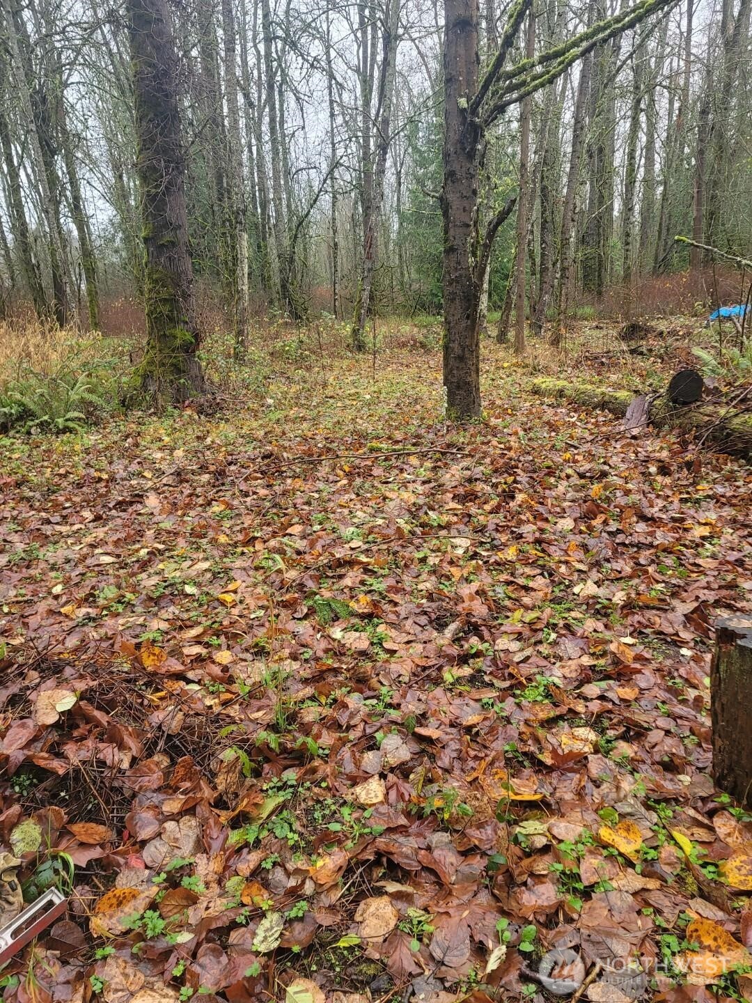 35750 Military Road S