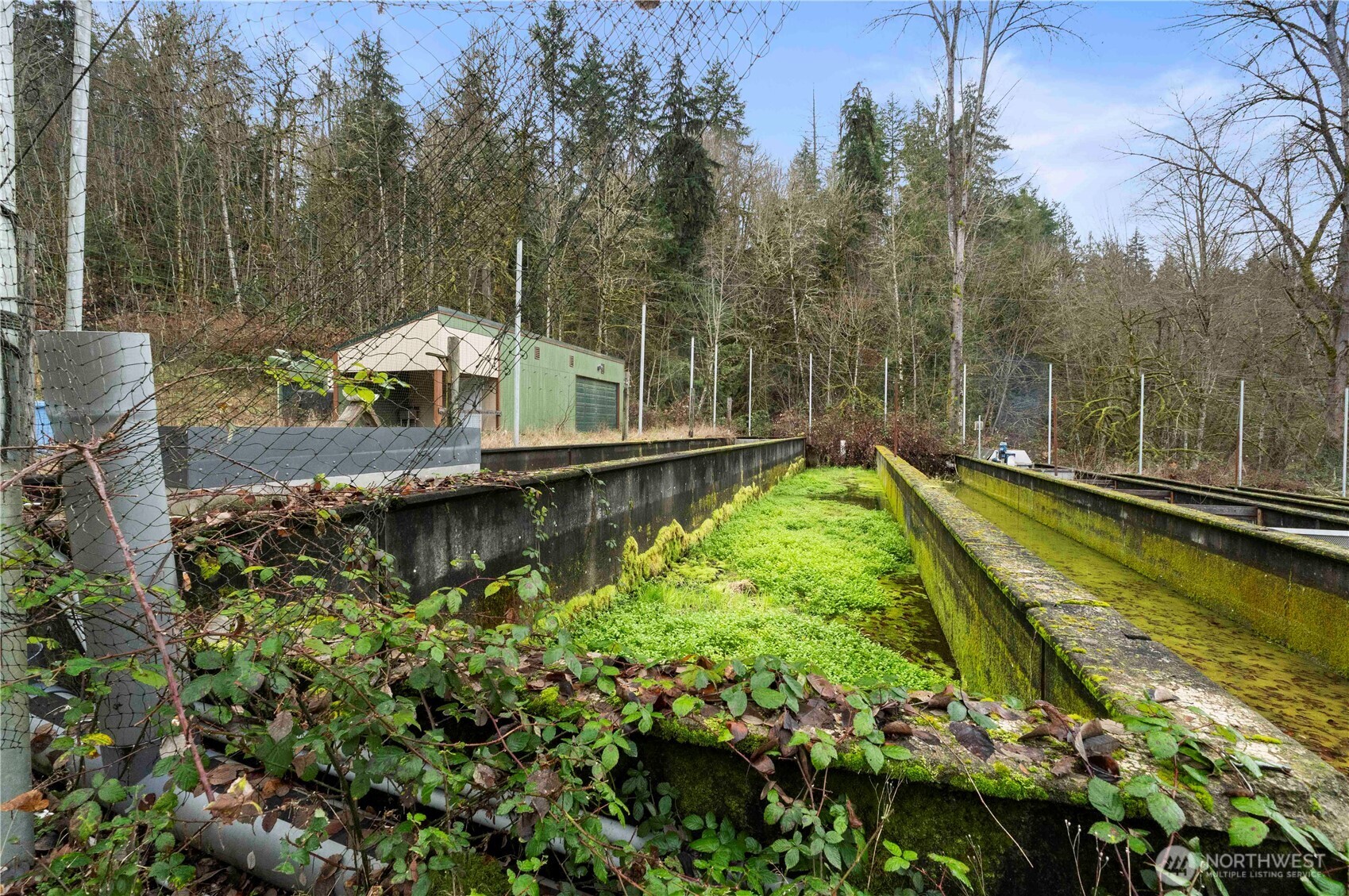 17612 219th Avenue E