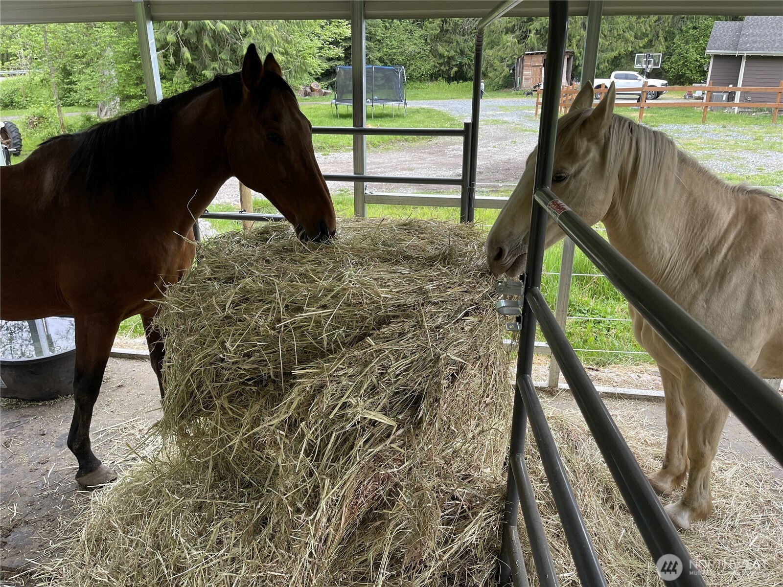 40407 Mountain Highway E