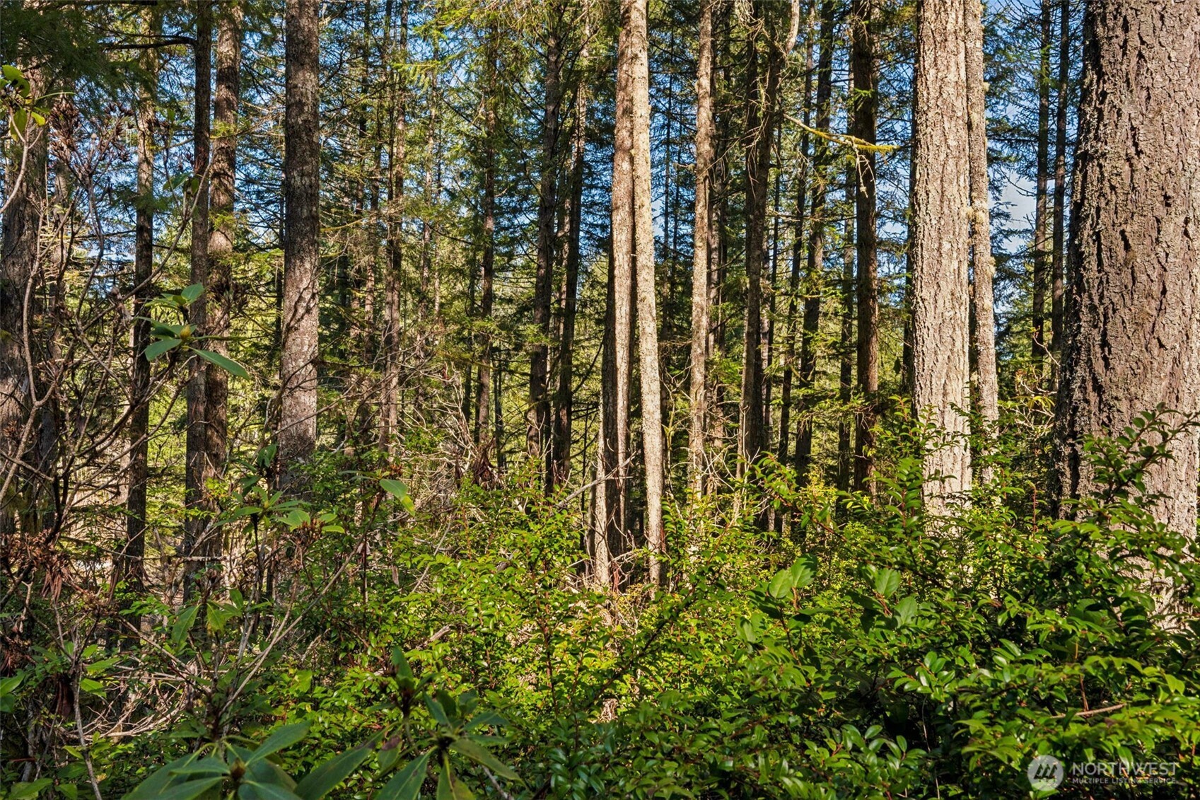 431 NE Collins Lake Drive